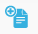 document icon.png